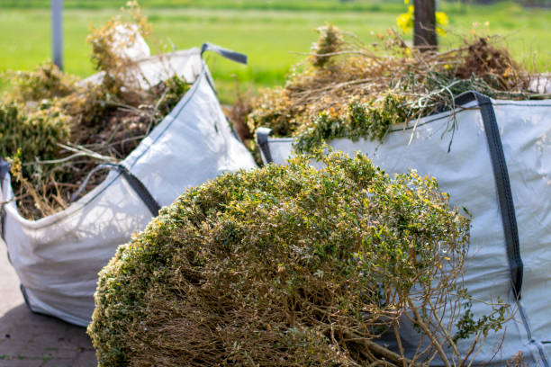 Best Property Management Cleanouts  in Carefree, AZ